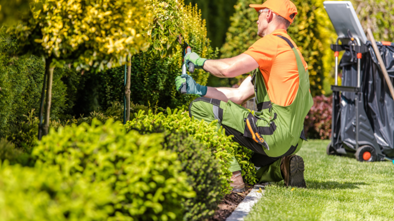 Pristine Gardens garden maintenance tips