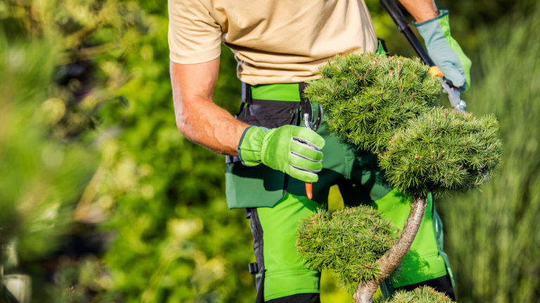 Pristine Gardens low-maintenance plants