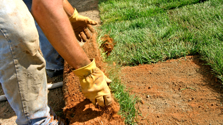 Pristine Gardens professional landscaping