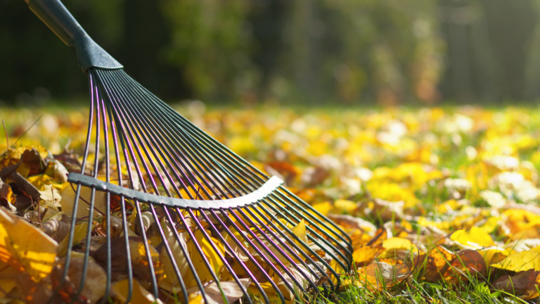 Pristine Gardens garden maintenance autumn