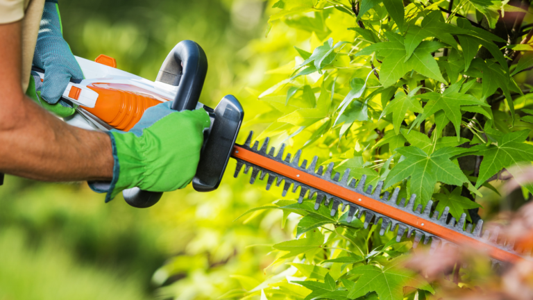 Pristine Gardens hedge cutting tips