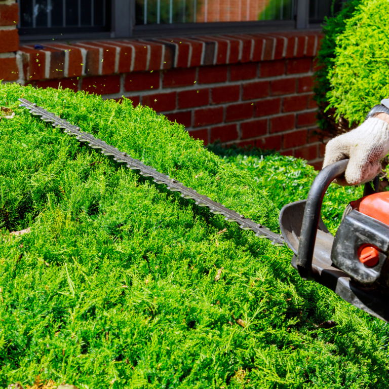 Pristine Gardens hedge trimming birmingham
